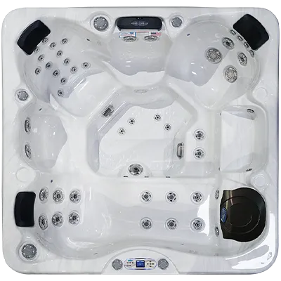 Avalon EC-849L hot tubs for sale in Baton Rouge
